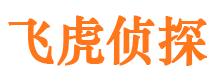 盐池侦探